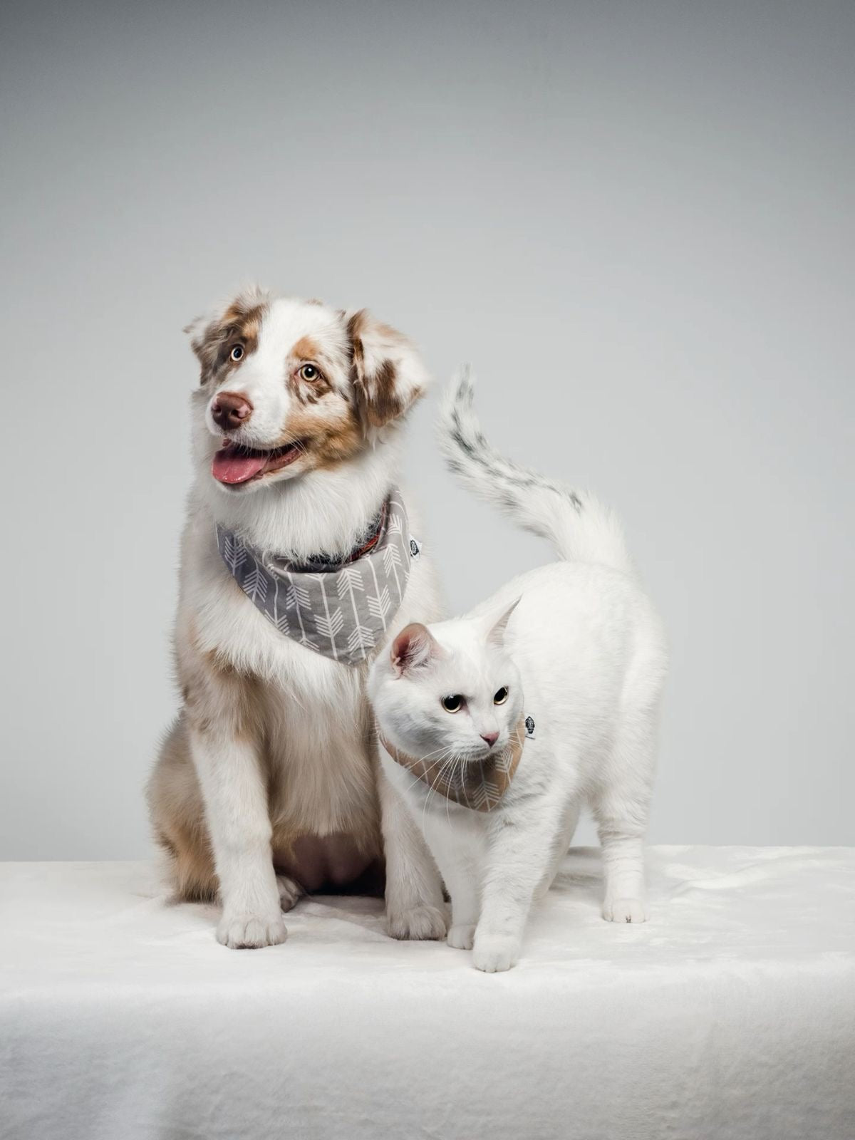 Pet Clothes & Accessories