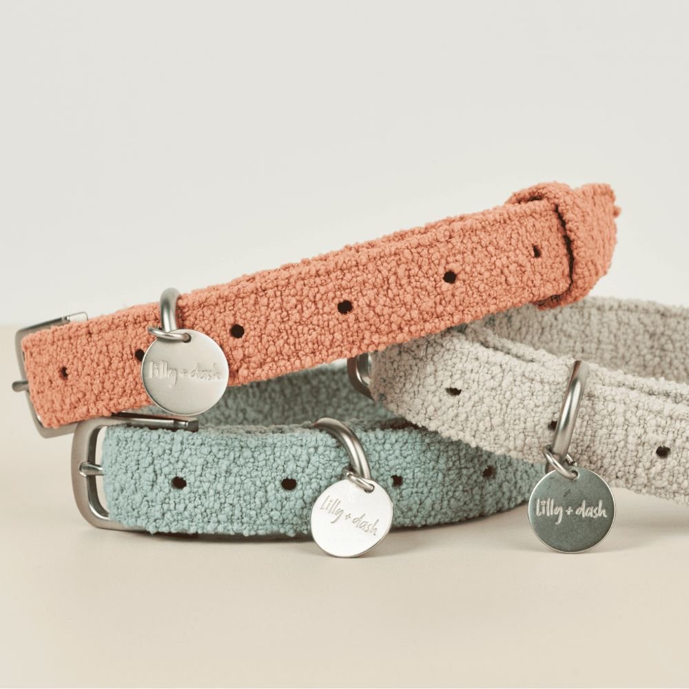 Dog Collars