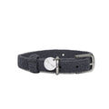 Dog Collars