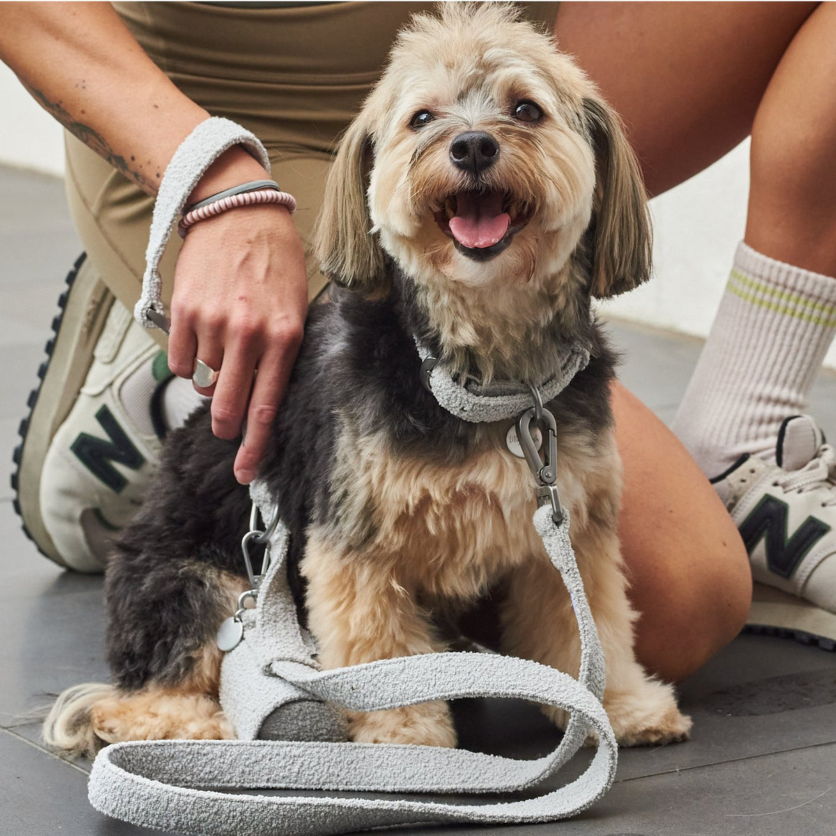 Leashes