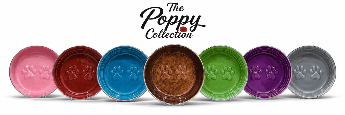 The Poppy Collection Dog Bowl - Green